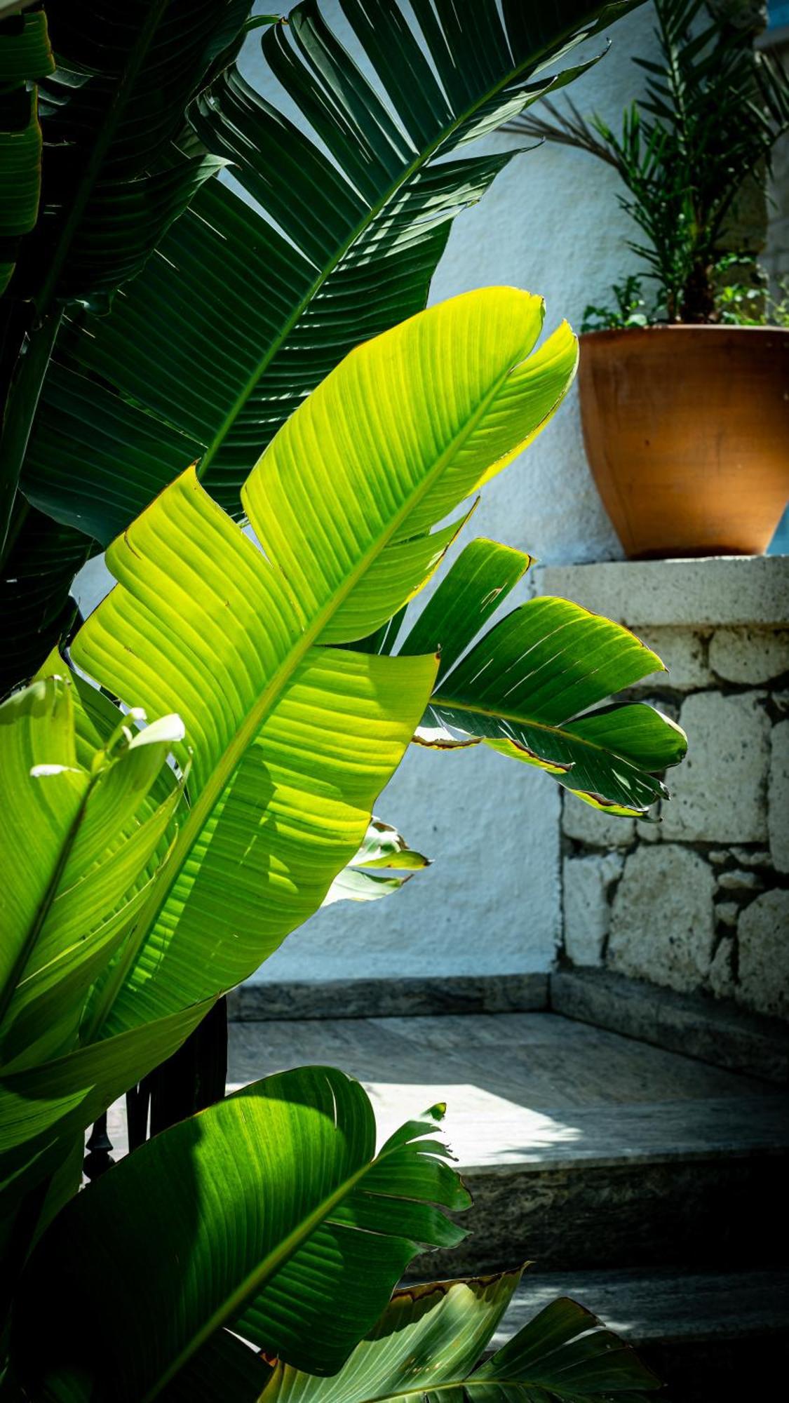 POM Alaçatı Boutique Otel Çeşme Dış mekan fotoğraf